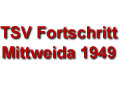 Bronze: TSV Fortschritt Mittweida 1949